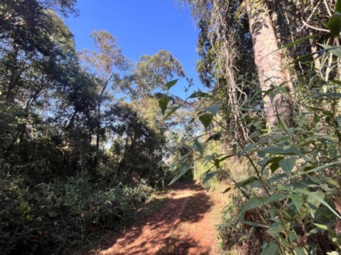 Trilha Ecológica da Lagoa