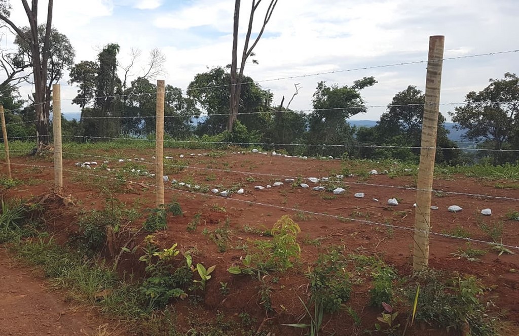 Educação Ambiental e Agroecologia e Energias Renováveis 
