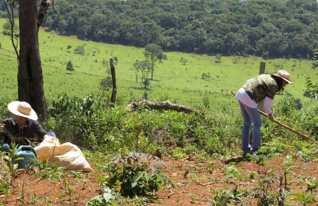 Educação Ambiental e Agroecologia e Energias Renováveis 