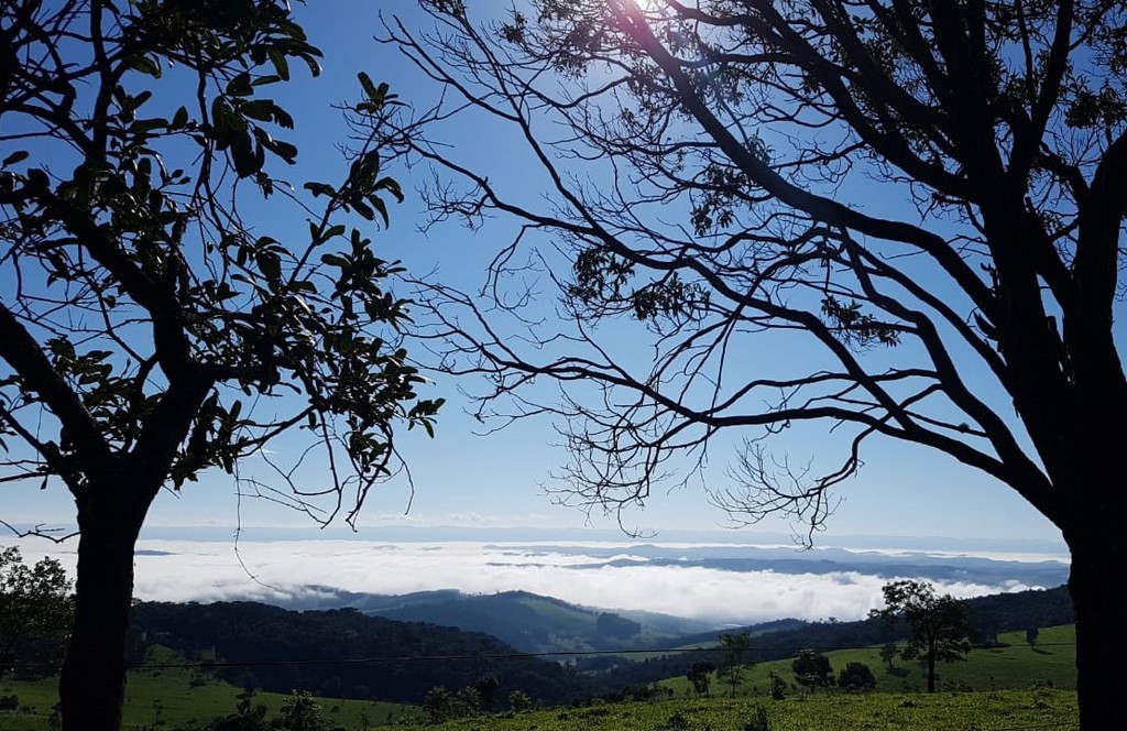 Educação Ambiental e Agroecologia e Energias Renováveis 