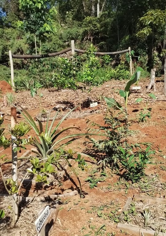 Mini estação metereológica a evolução da agrofloresta