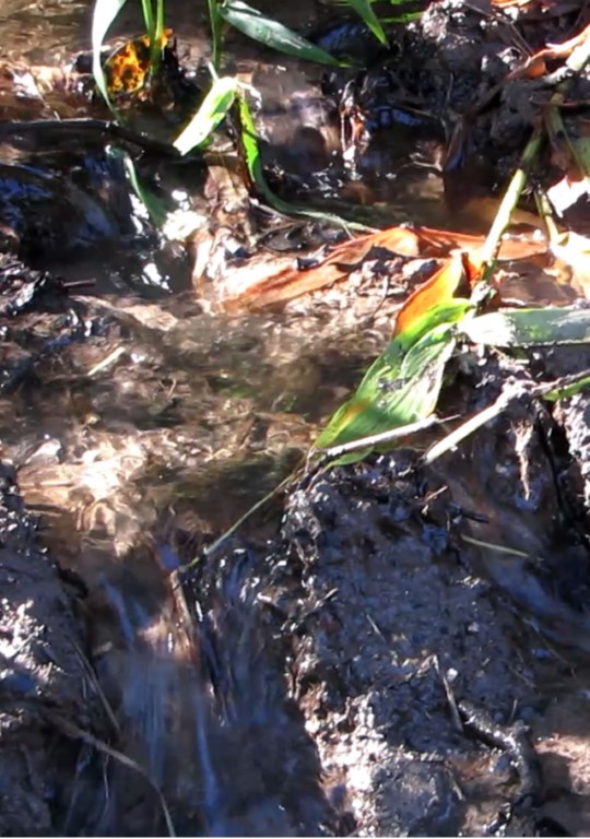 9ª Caminhada Ecológica de Rio Manso – Minas Gerais
