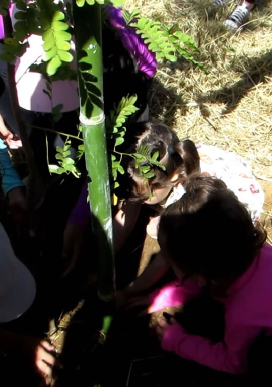 9ª Caminhada Ecológica de Rio Manso – Minas Gerais