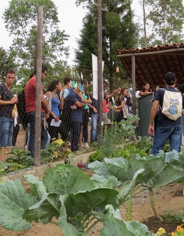 Memórias de Atividades da ONG Verde