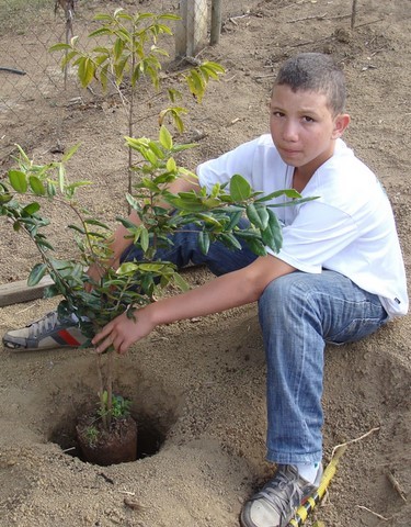 Memórias de Atividades da ONG Verde