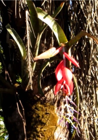 9ª Caminhada Ecológica de Rio Manso – Minas Gerais