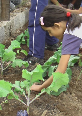 CEA Mandembo - Programa de Educação Ambiental com ODS´s