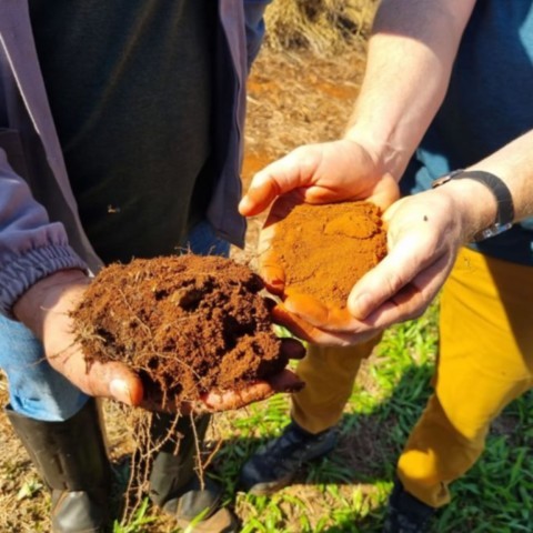 Agroecologia - Conheça algumas Tecnologias Vivas em Minas Gerais