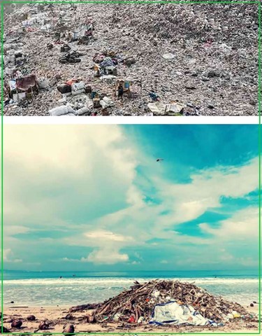 GWCN - Nosso Meio Ambiente, Nosso Futuro