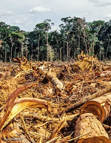 Mudanças Climáticas - Tragédia Global, Ação Local!