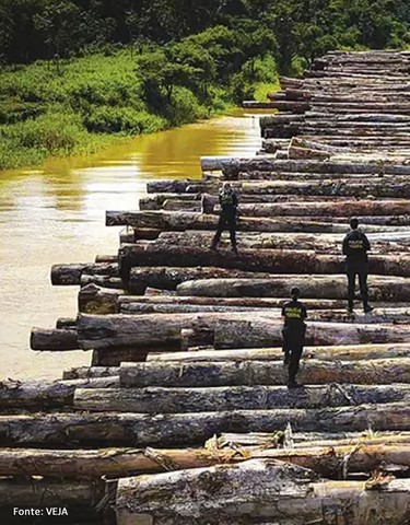 Mudanças Climáticas - Tragédia Global, Ação Local!
