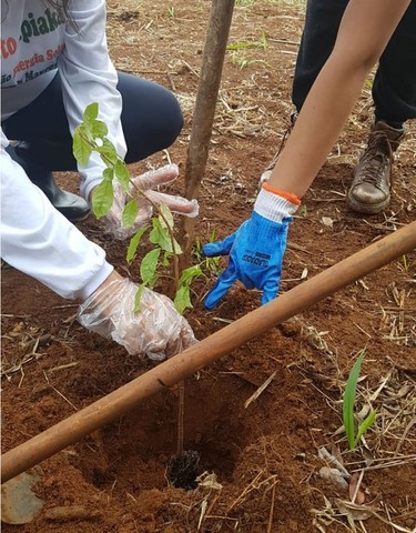 Educação Ambiental e Agroecologia e Energias Renováveis 