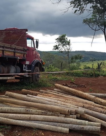 Educação Ambiental e Agroecologia e Energias Renováveis 