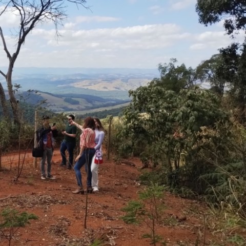 Sustentabilidade: Energias do Sol e do Vento Projeto Casa12Volts