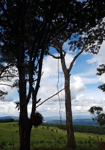 CEA Mandembo - Programa de Educação Ambiental com ODS´s