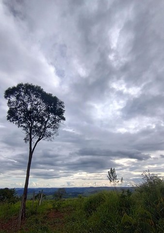 CEA Mandembo - Programa de Educação Ambiental com ODS´s