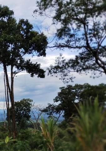 CEA Mandembo - Programa de Educação Ambiental com ODS´s