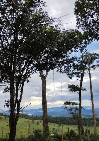 CEA Mandembo - Programa de Educação Ambiental com ODS´s