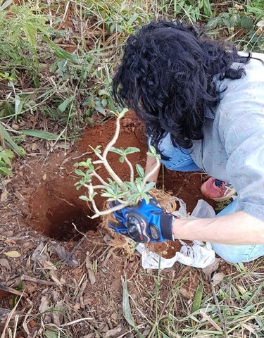 Projeto Re-Nascentes