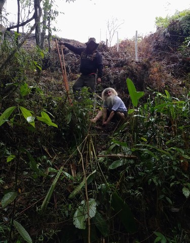 Projeto Re-Nascentes