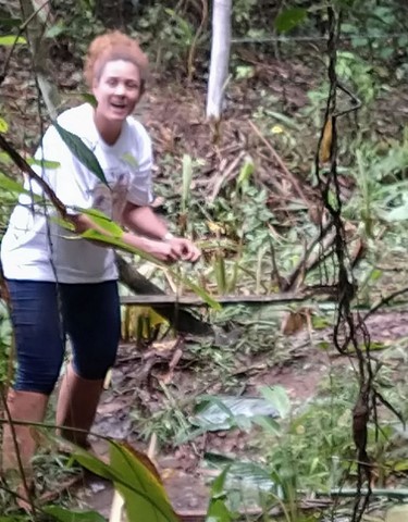 Projeto Re-Nascentes